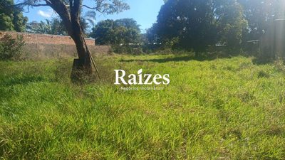 Chácara, 3 quartos - Foto 4