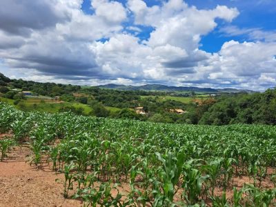 Terreno, 7 hectares - Foto 3