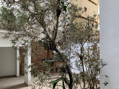 Apartamento, 2 quartos, 146 m² - Foto 2