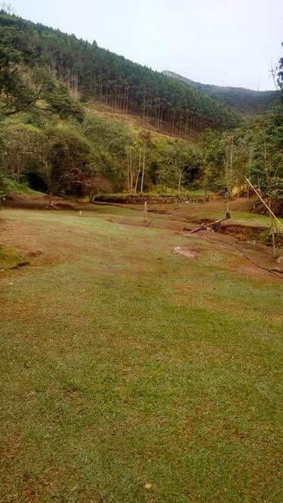 Fazenda, 109 hectares - Foto 1