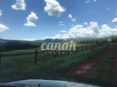 Fazenda, 175 m² - Foto 4