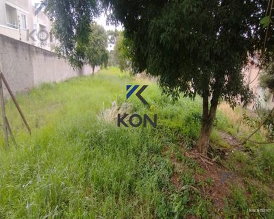 Terreno, 2572 m² - Foto 5
