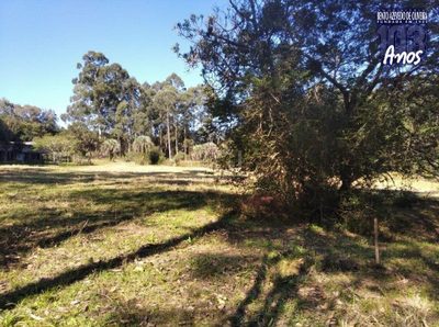 Terreno, 2500 m² - Foto 4