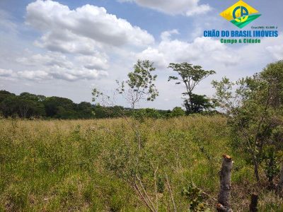 Terreno, 111000 hectares - Foto 1