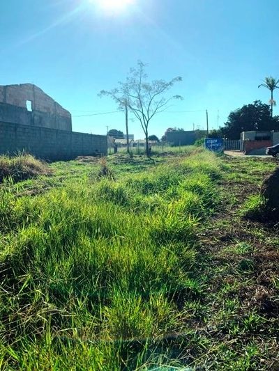 Terreno, 300 m² - Foto 3