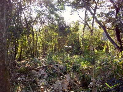 Terreno, 1125 m² - Foto 3