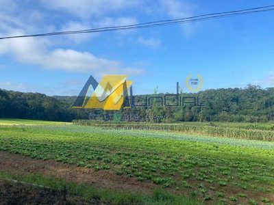 Terreno, 19 hectares - Foto 1