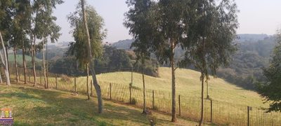 Terreno, 2 hectares - Foto 2