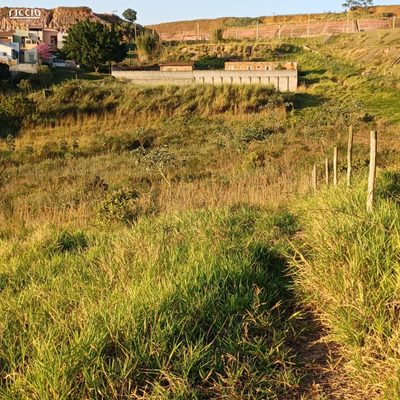 Terreno, 2 hectares - Foto 4