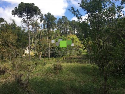 Terreno - Foto 4