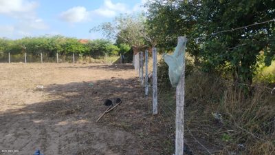 Terreno, 1050 m² - Foto 4