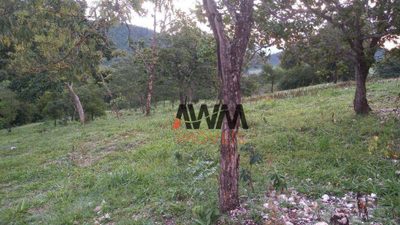 Fazenda, 77 hectares - Foto 2