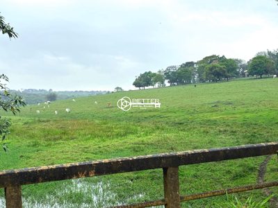 Fazenda, 12 hectares - Foto 2