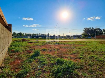Terreno, 250 m² - Foto 3