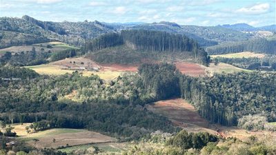 Loteamento e Condomínio, 26 hectares - Foto 5