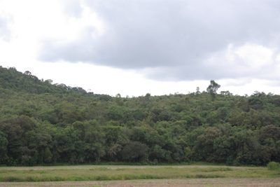 Sítio, 8 m² - Foto 5