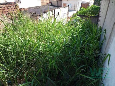 Terreno, 145 m² - Foto 4