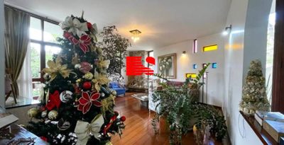 Casa, 4 quartos, 367 m² - Foto 3