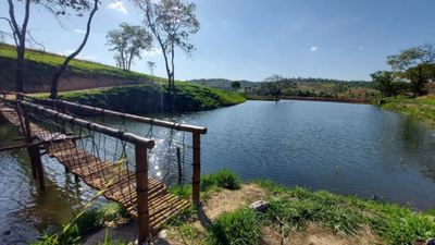 Terreno, 2000 m² - Foto 5