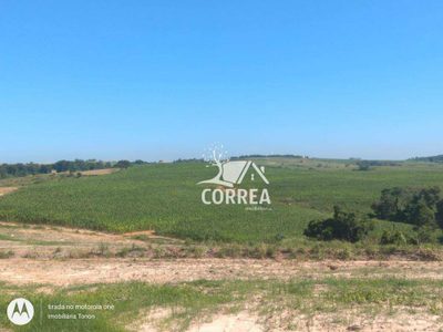 Fazenda, 67 hectares - Foto 5