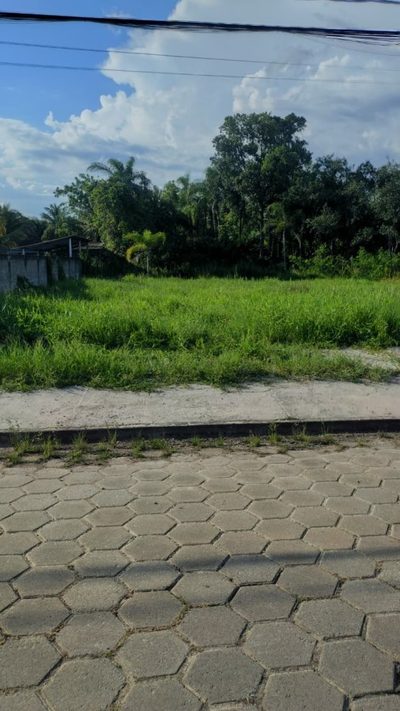 Terreno, 1000 m² - Foto 4