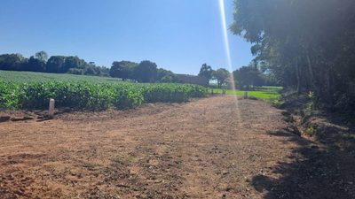 Chácara, 2 quartos, 4 hectares - Foto 3