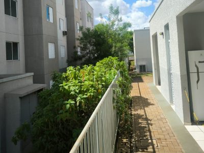 Apartamento, 2 quartos, 43 m² - Foto 2