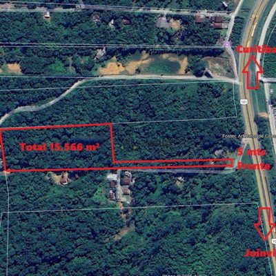 Terreno, 2 hectares - Foto 4