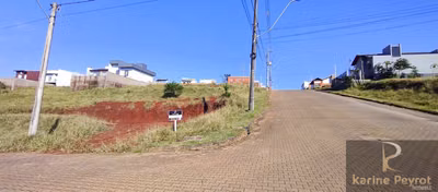 Terreno, 250 m² - Foto 1