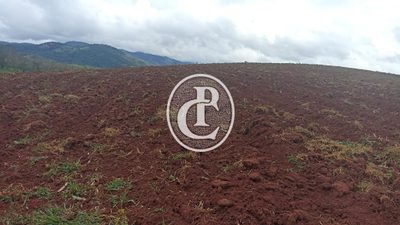 Terreno, 70 hectares - Foto 3