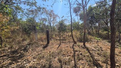 Chácara, 2 hectares - Foto 4