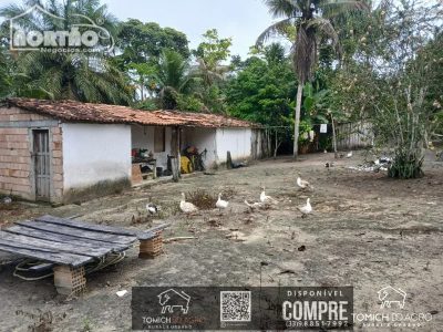 Casa, 30 m² - Foto 3
