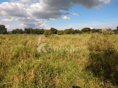 Sítio, 1 quarto, 300 m² - Foto 4