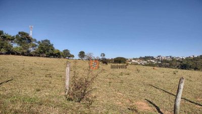 Terreno, 6 hectares - Foto 2