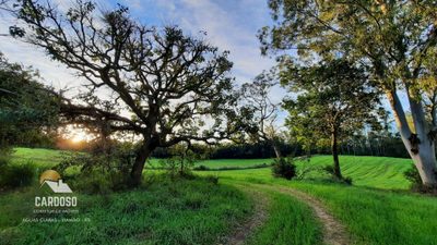 Sítio, 6 hectares - Foto 1