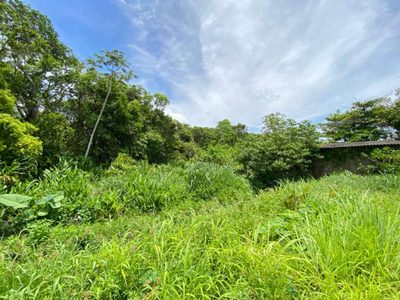 Terreno, 287 m² - Foto 2