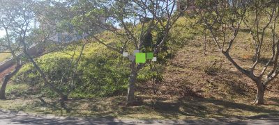Terreno - Foto 2