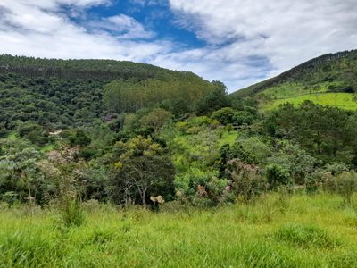 Terreno, 10000 m² - Foto 5
