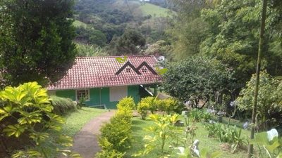 Chácara, 3 quartos, 4464 m² - Foto 2