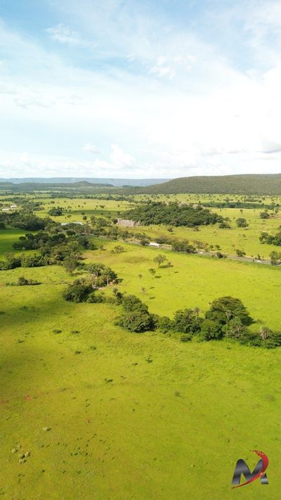 Chácara, 2 hectares - Foto 4