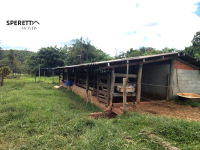 Chácara, 3 quartos - Foto 4
