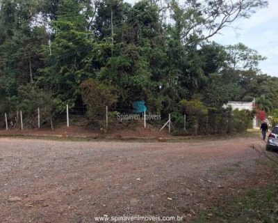 Terreno - Foto 4