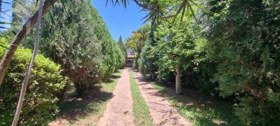 Casa, 4 quartos, 480 m² - Foto 5