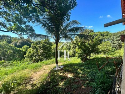 Chácara, 2 quartos, 3684 m² - Foto 5