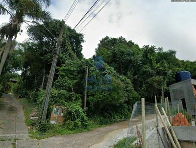 Terreno, 5 hectares - Foto 1