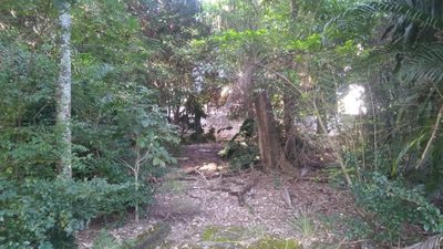 Terreno, 3200 m² - Foto 3
