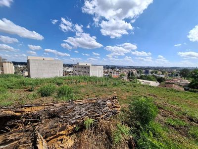 Terreno, 6000 m² - Foto 5