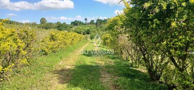 Sítio, 3 quartos, 3 hectares - Foto 3