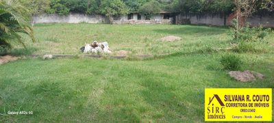 Terreno, 2 hectares - Foto 4