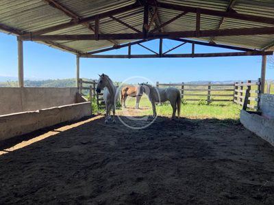Fazenda, 70 hectares - Foto 1